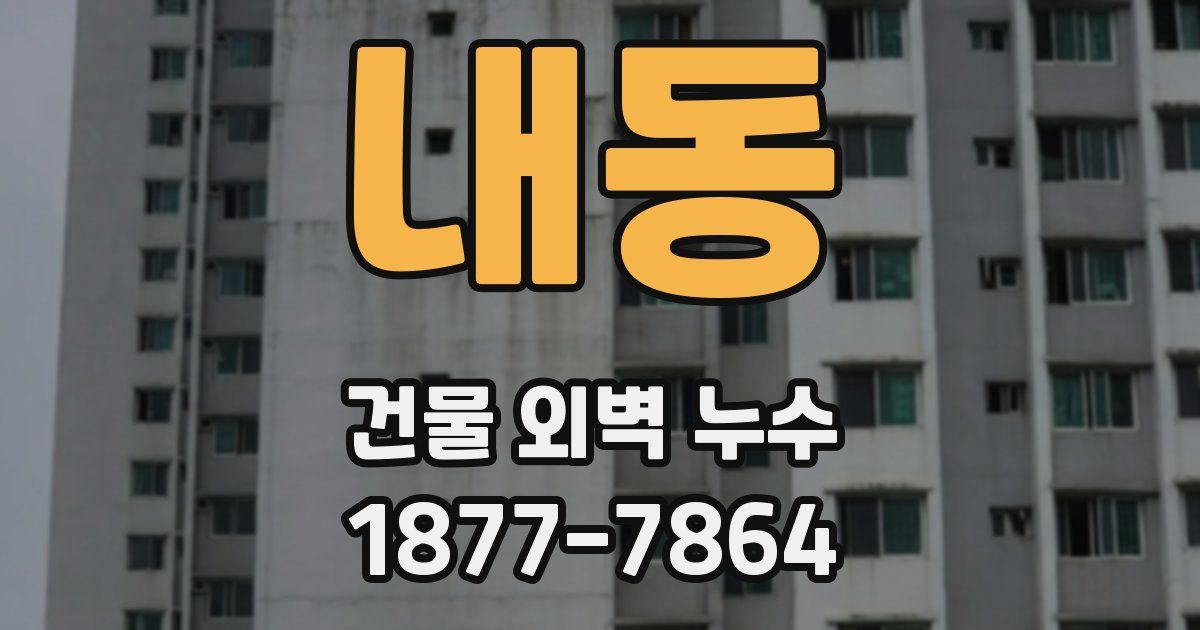 내동 건물 외벽 누수