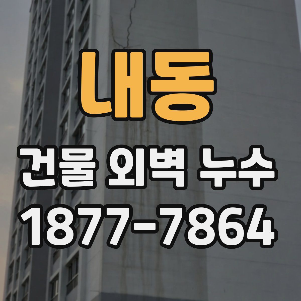 내동 건물 외벽 누수