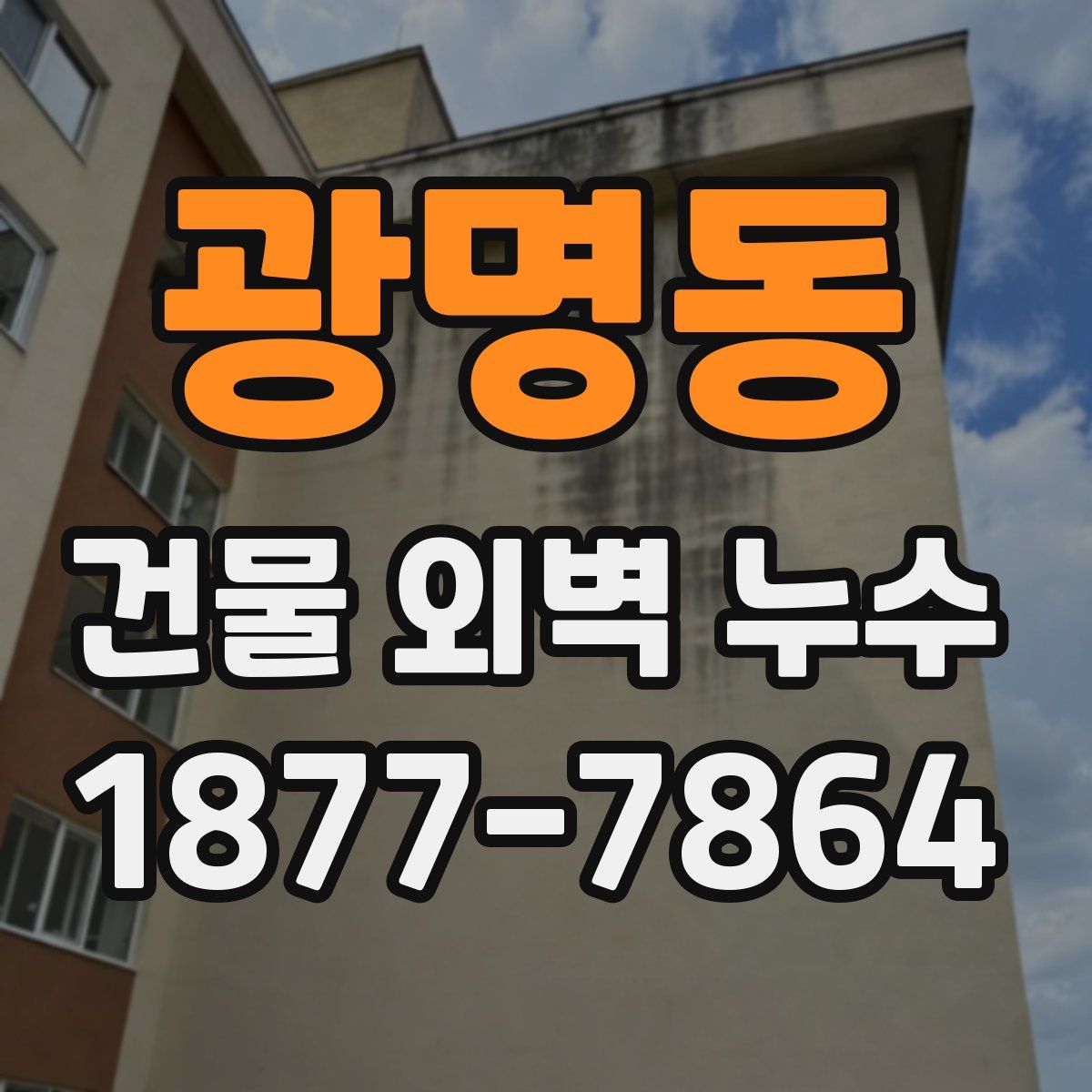 광명동 건물 외벽 누수