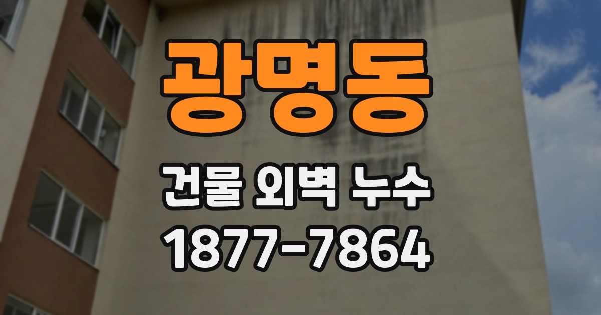 광명동 건물 외벽 누수