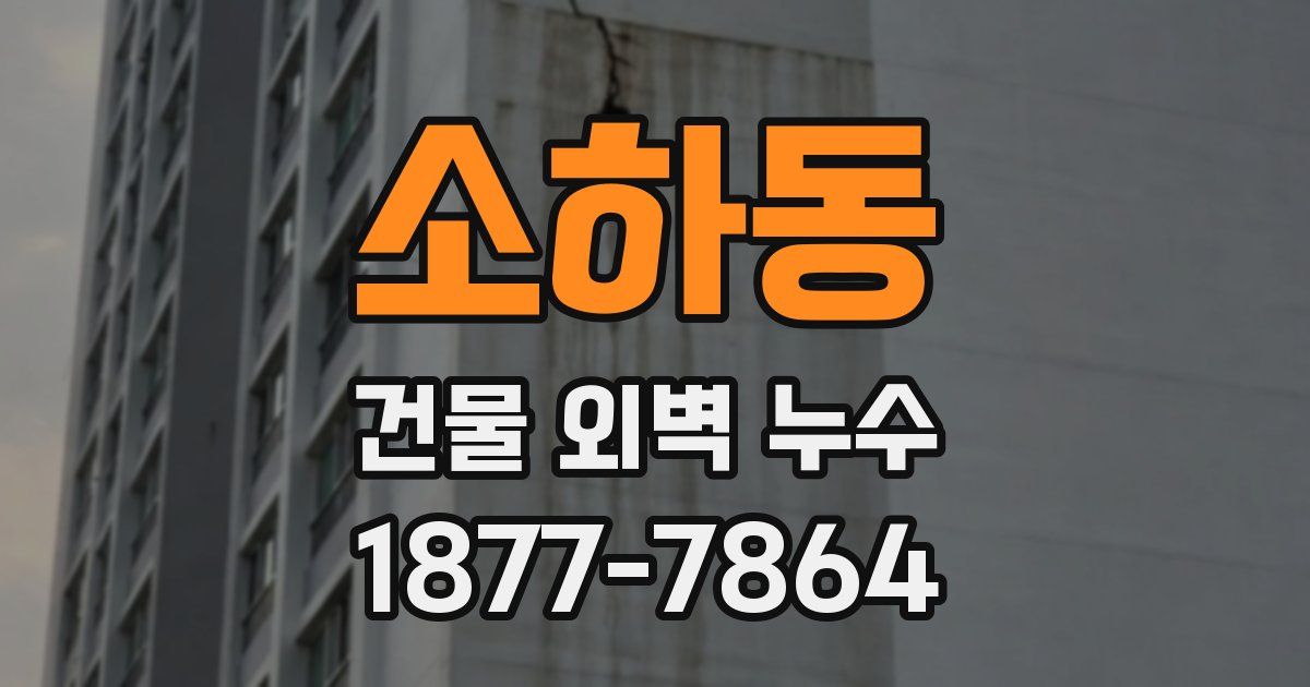 소하동 건물 외벽 누수