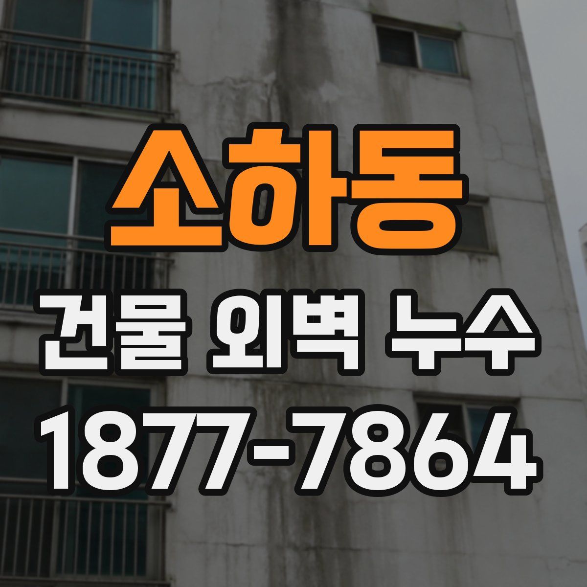 소하동 건물 외벽 누수
