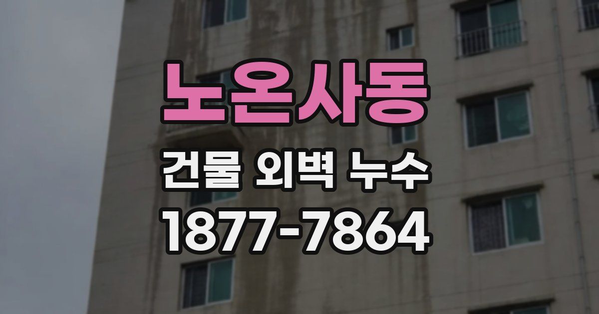노온사동 건물 외벽 누수