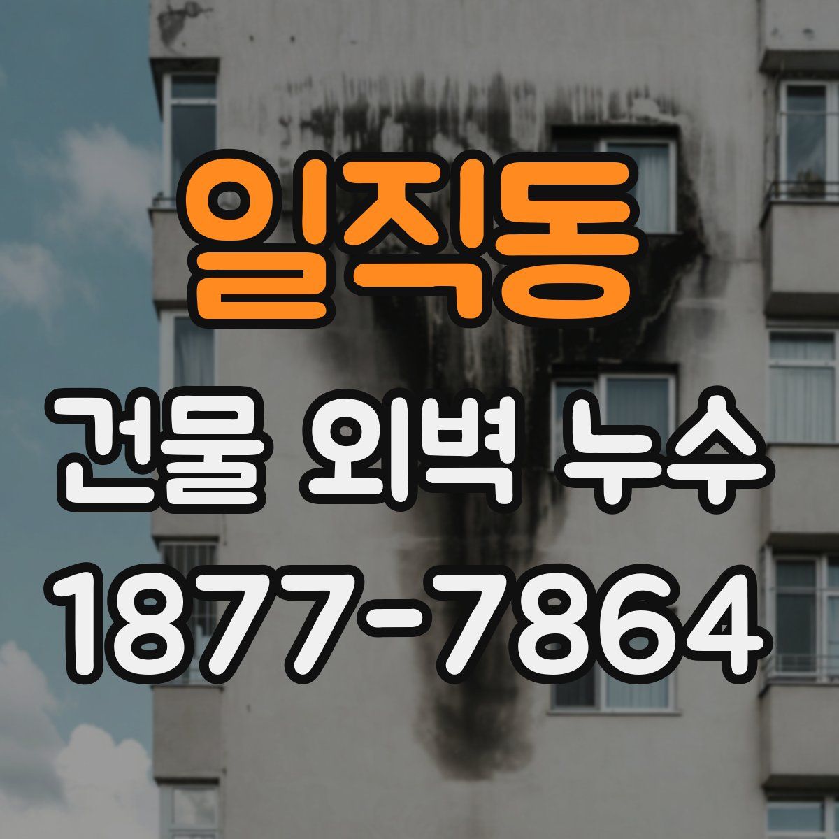 일직동 건물 외벽 누수