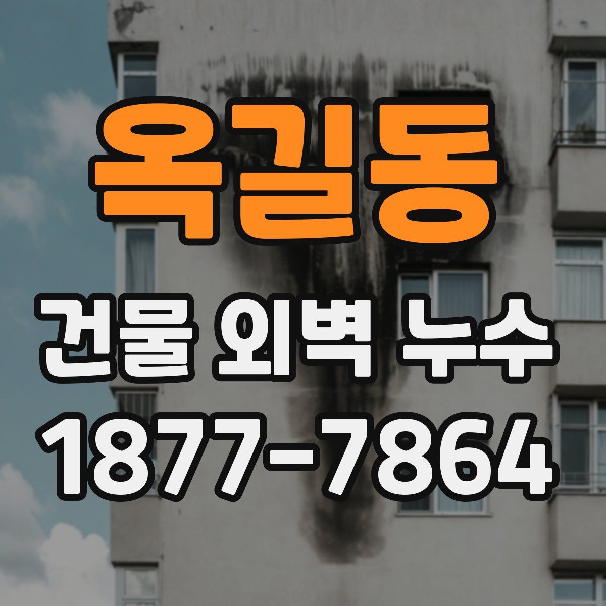 옥길동 건물 외벽 누수
