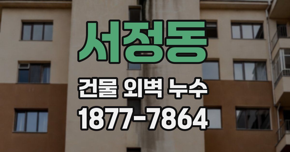 서정동 건물 외벽 누수