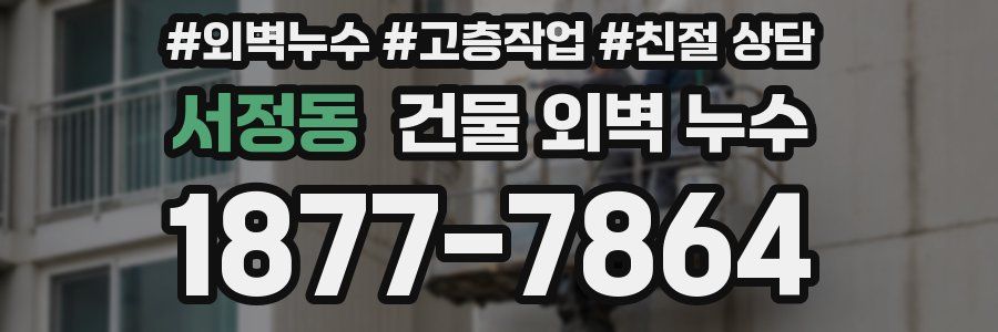 서정동 건물 외벽 누수