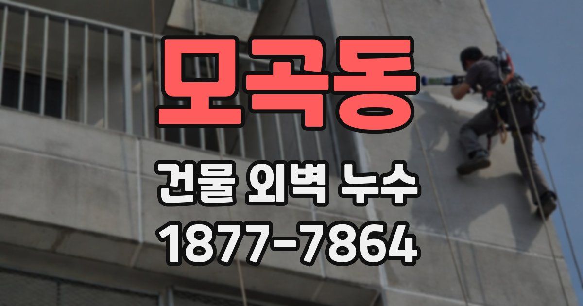 모곡동 건물 외벽 누수