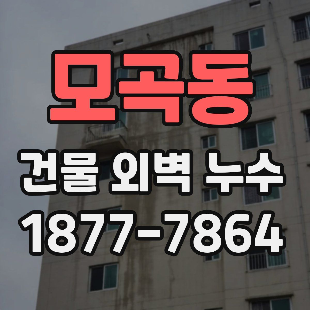 모곡동 건물 외벽 누수