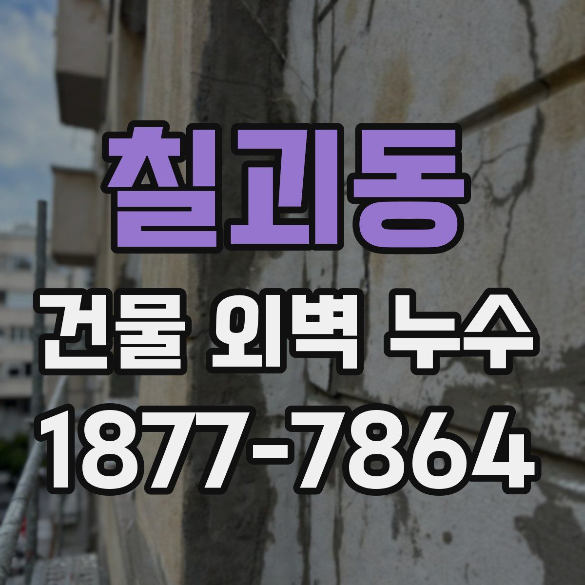 칠괴동 건물 외벽 누수