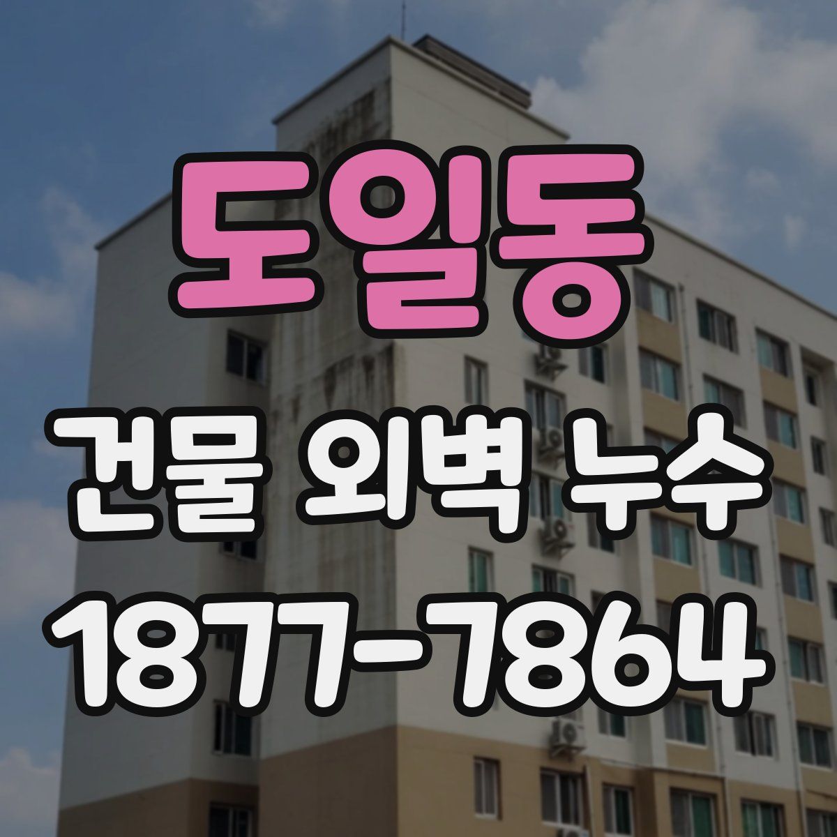 도일동 건물 외벽 누수