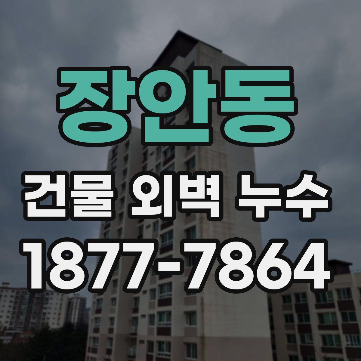 장안동 건물 외벽 누수