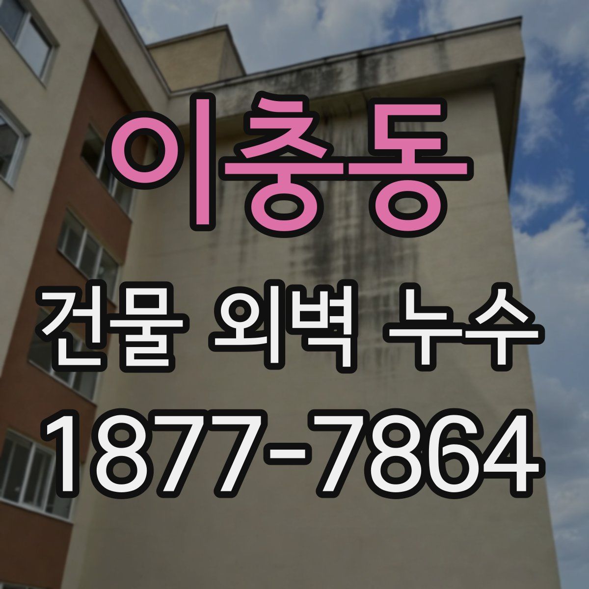 이충동 건물 외벽 누수
