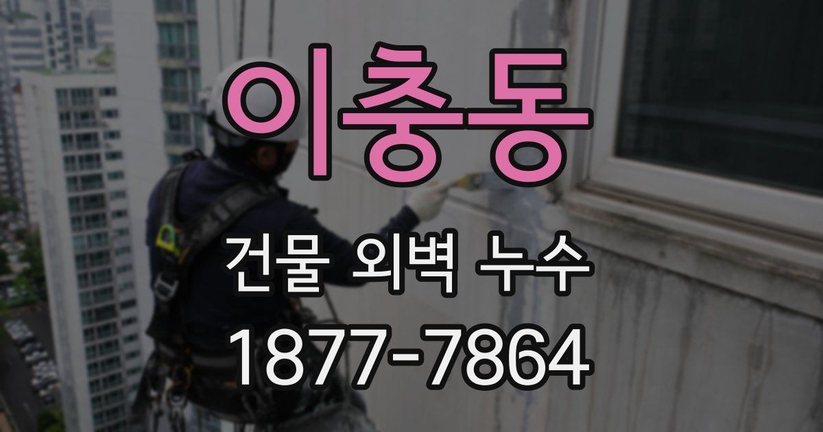 이충동 건물 외벽 누수