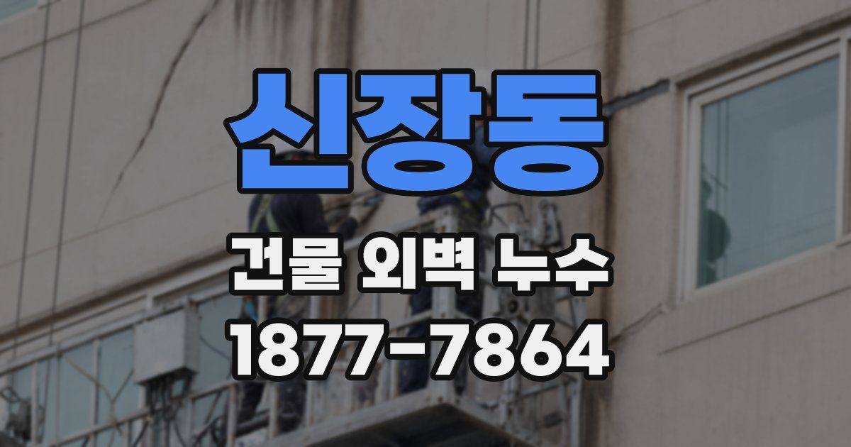 신장동 건물 외벽 누수