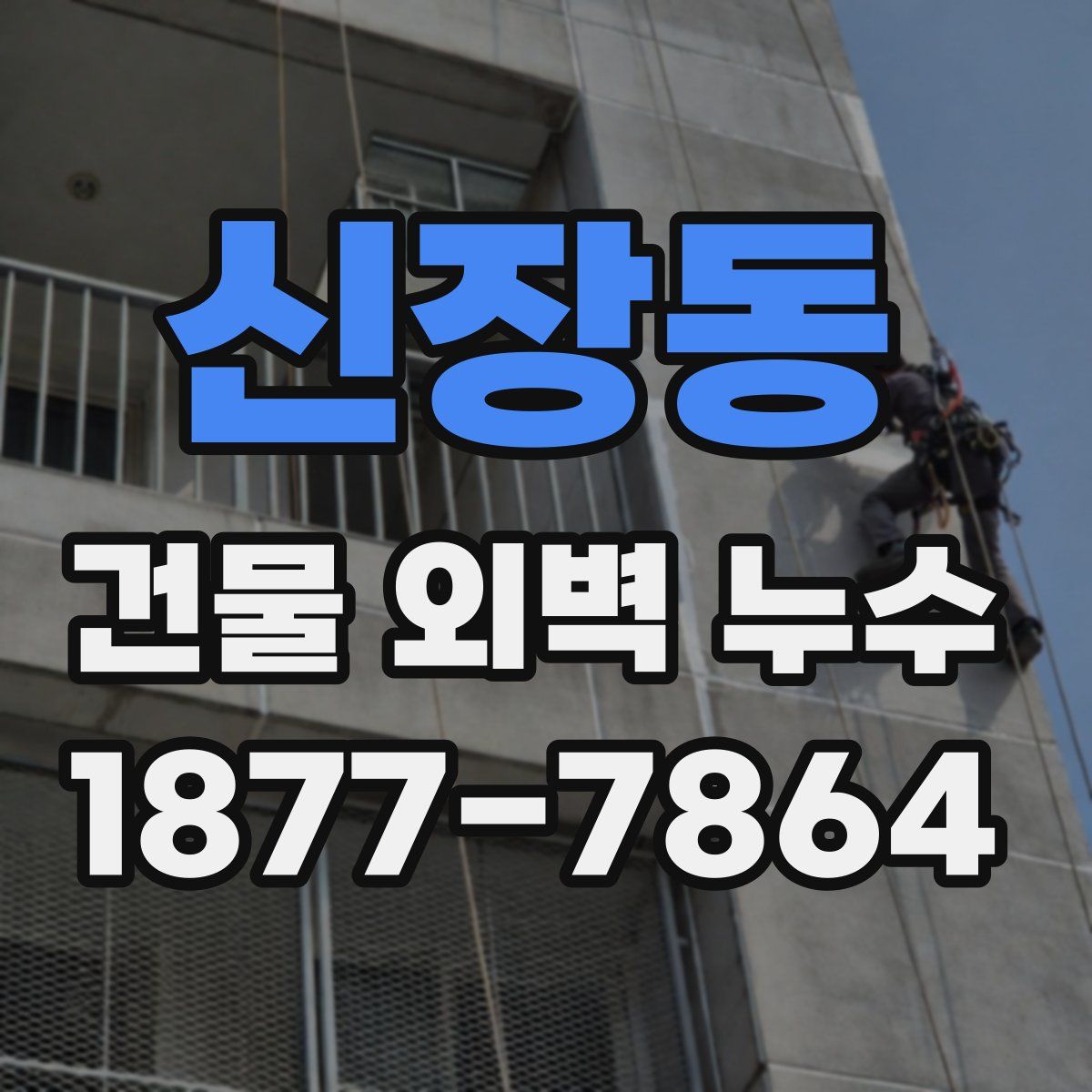 신장동 건물 외벽 누수