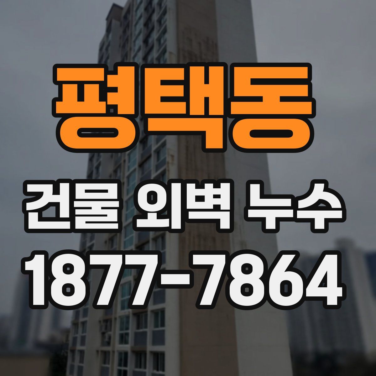 평택동 건물 외벽 누수
