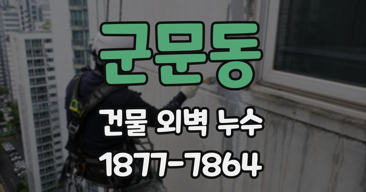 군문동 건물 외벽 누수