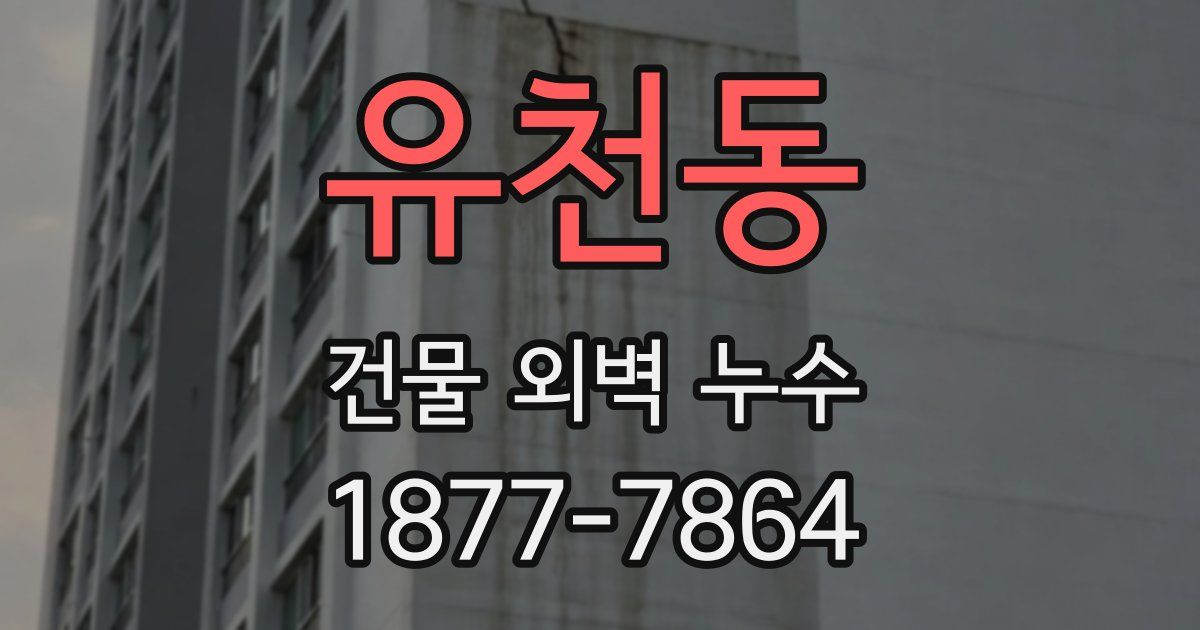 유천동 건물 외벽 누수