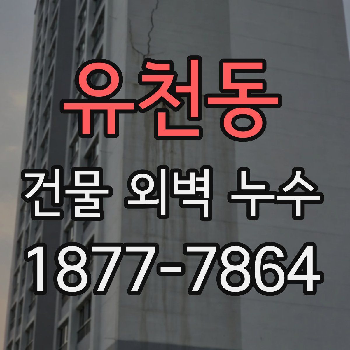 유천동 건물 외벽 누수
