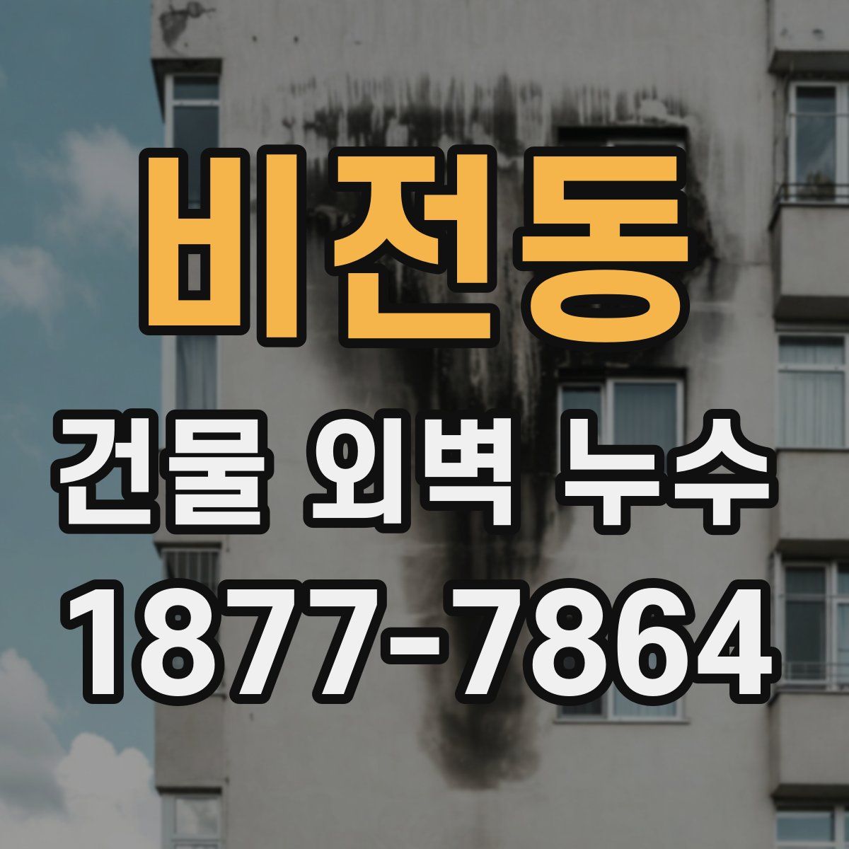 비전동 건물 외벽 누수