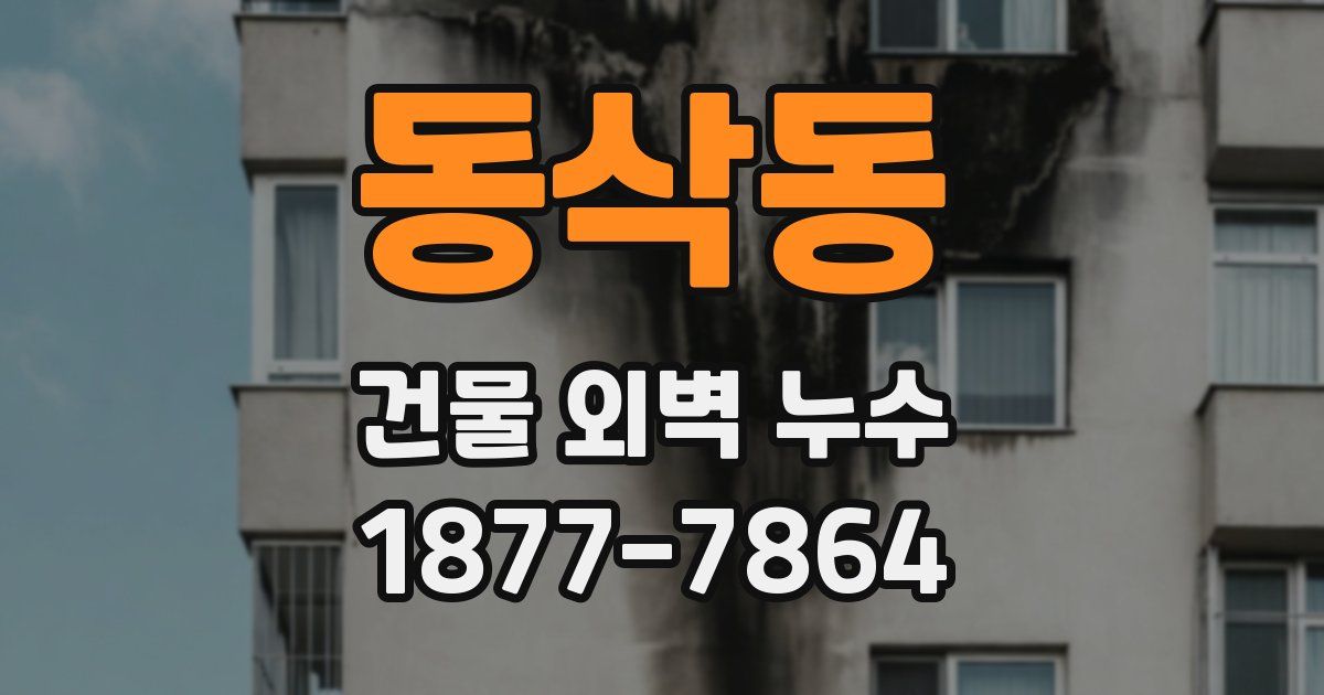 동삭동 건물 외벽 누수