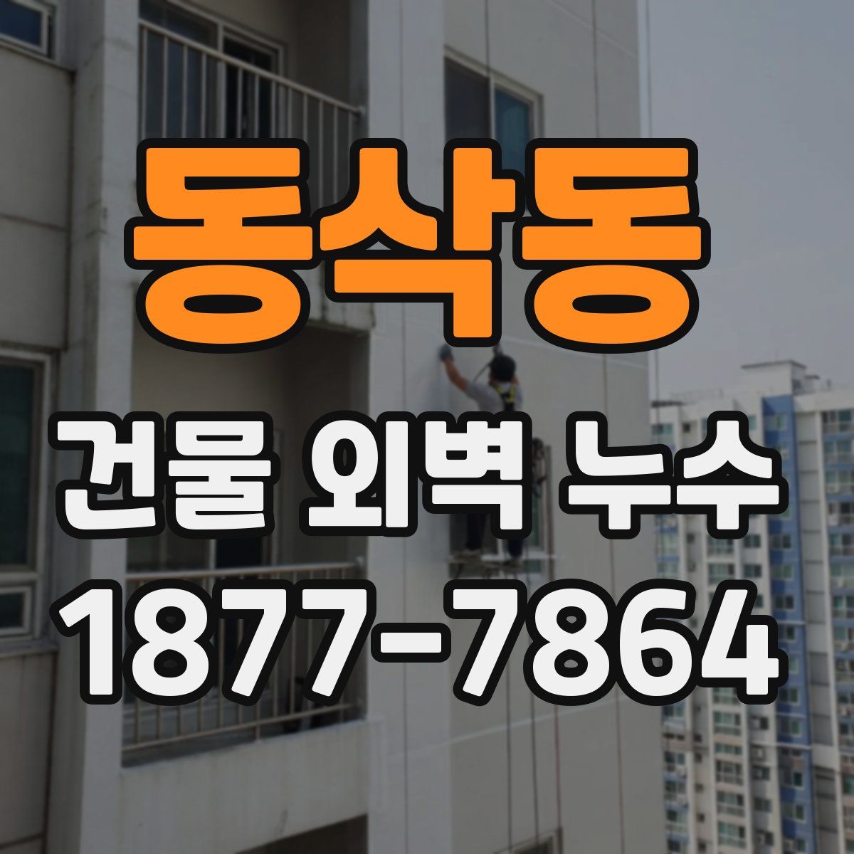 동삭동 건물 외벽 누수