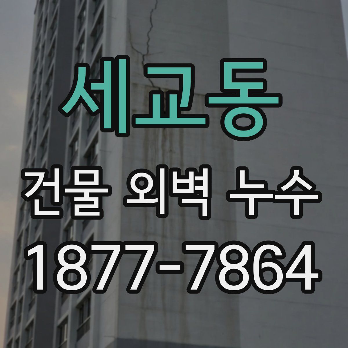 세교동 건물 외벽 누수