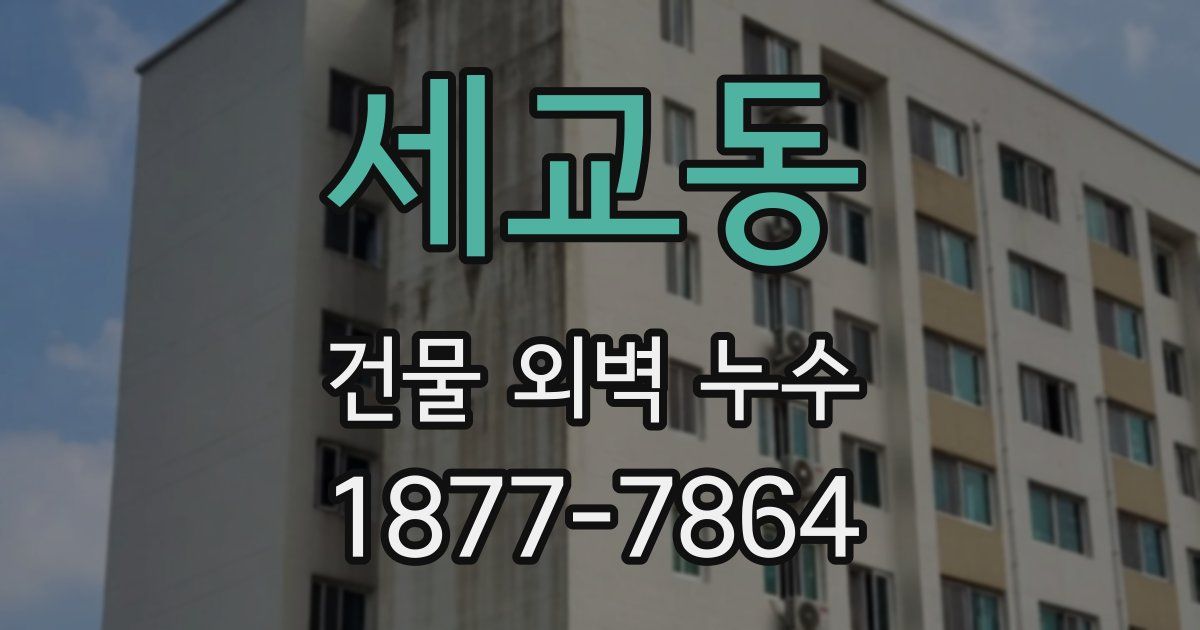 세교동 건물 외벽 누수