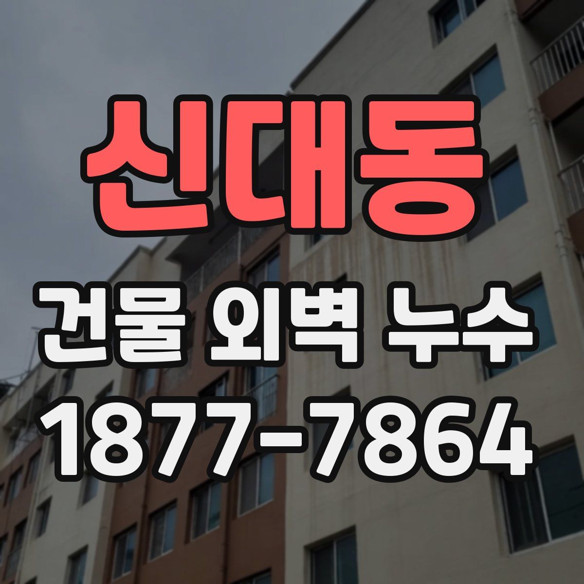 신대동 건물 외벽 누수