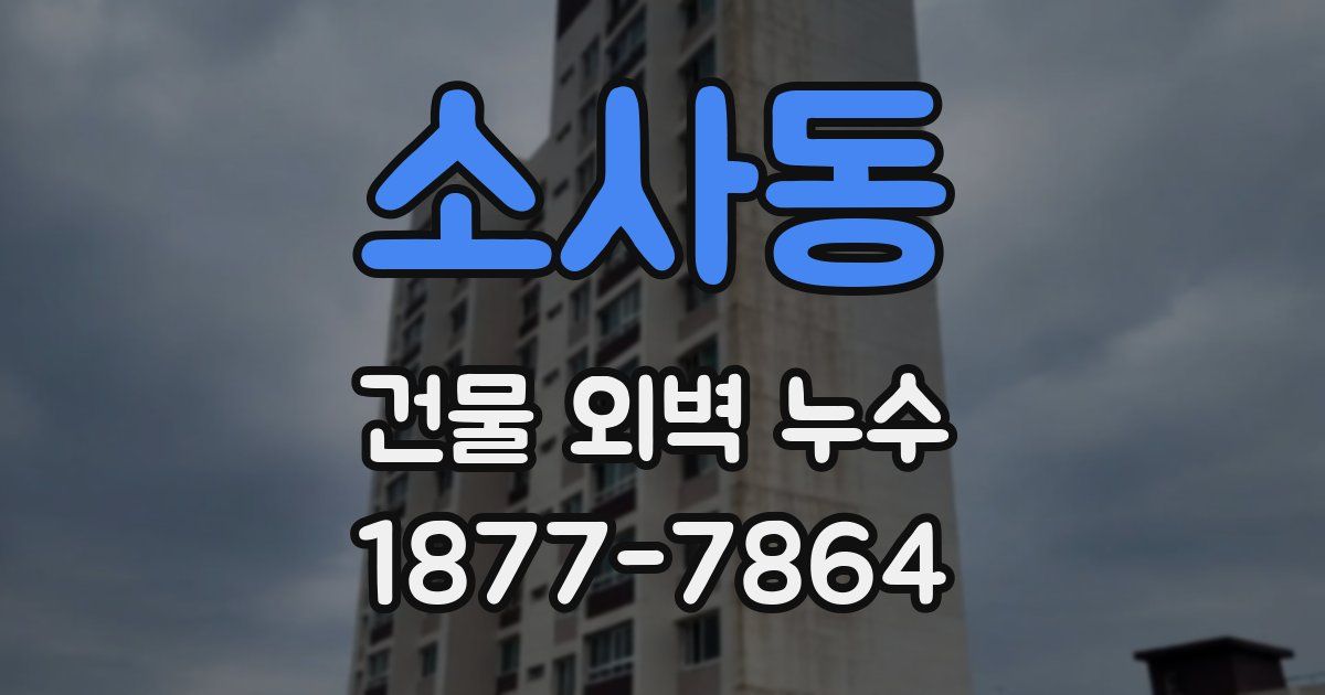 소사동 건물 외벽 누수