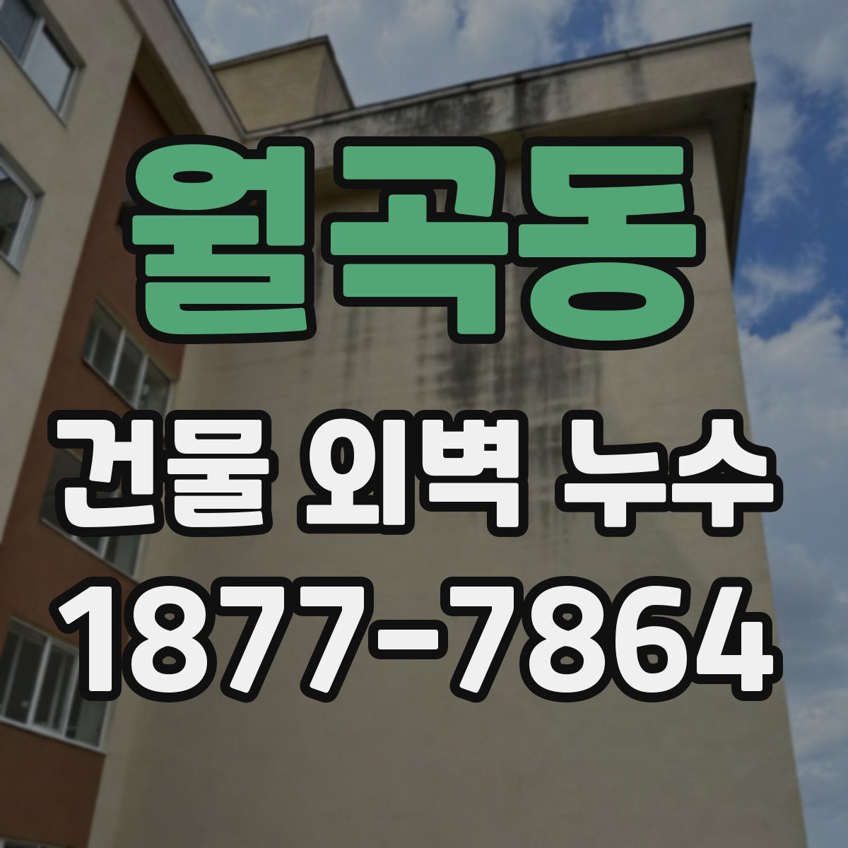 월곡동 건물 외벽 누수