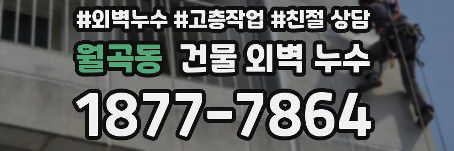 월곡동 건물 외벽 누수