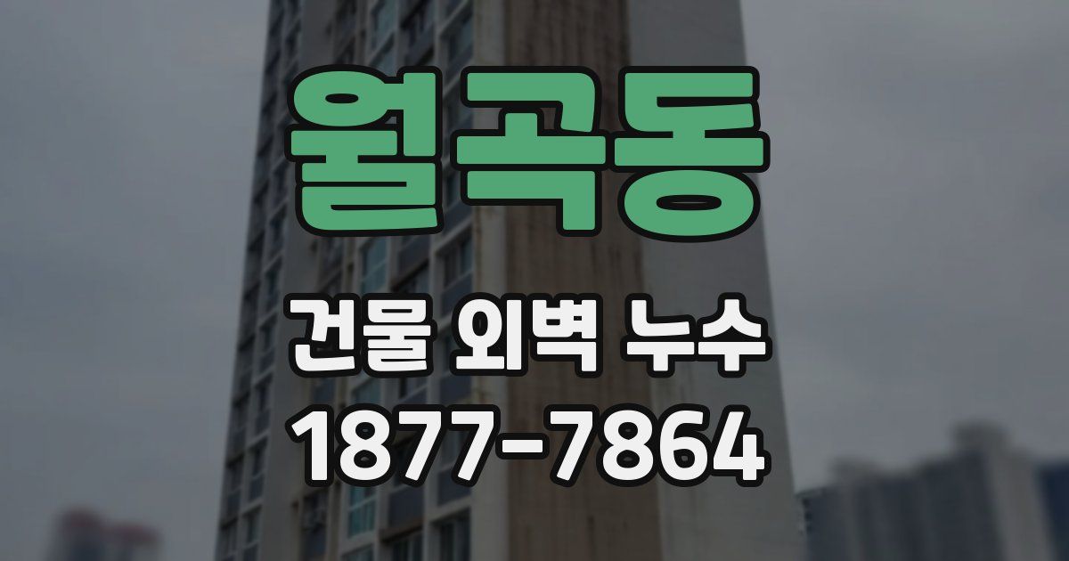 월곡동 건물 외벽 누수