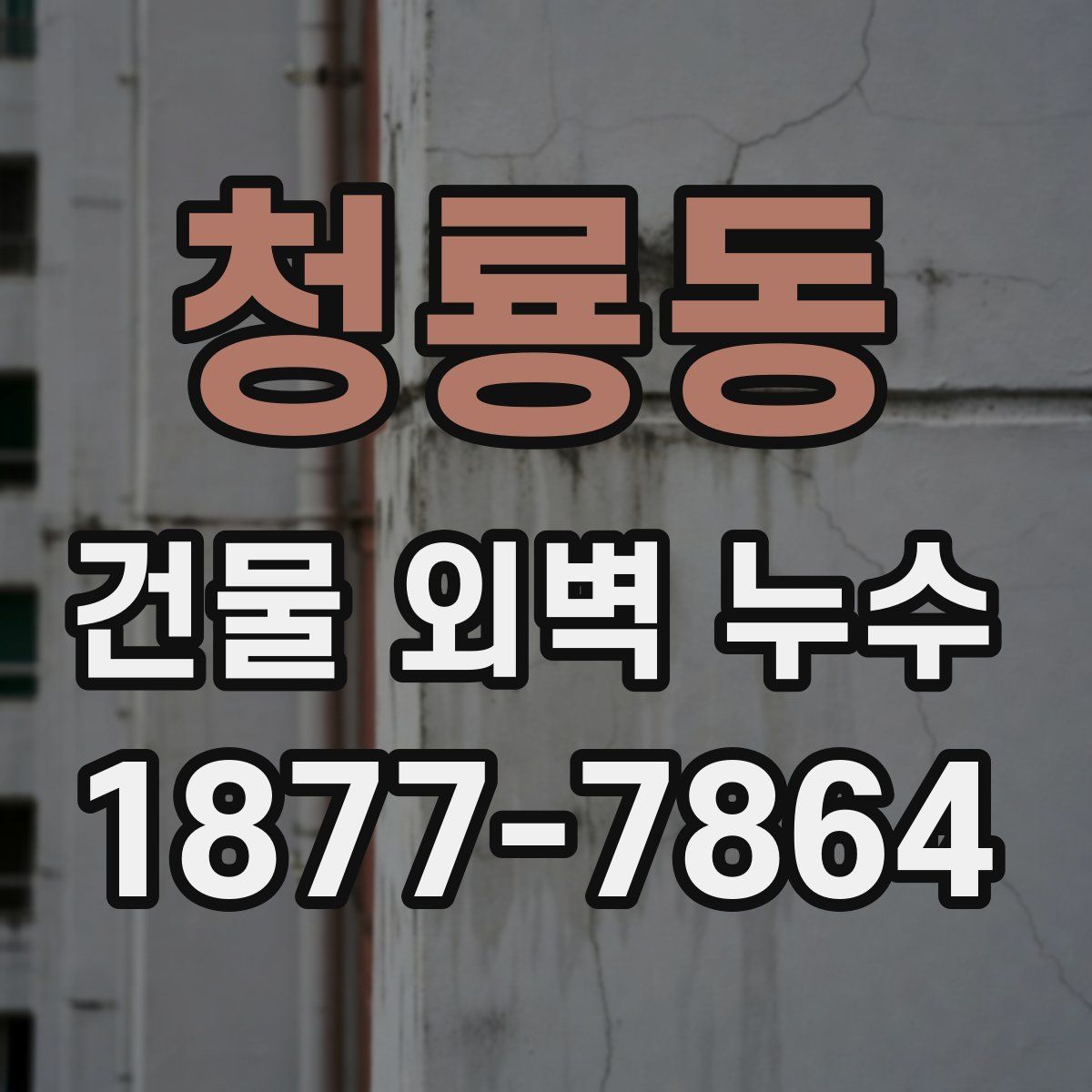 청룡동 건물 외벽 누수