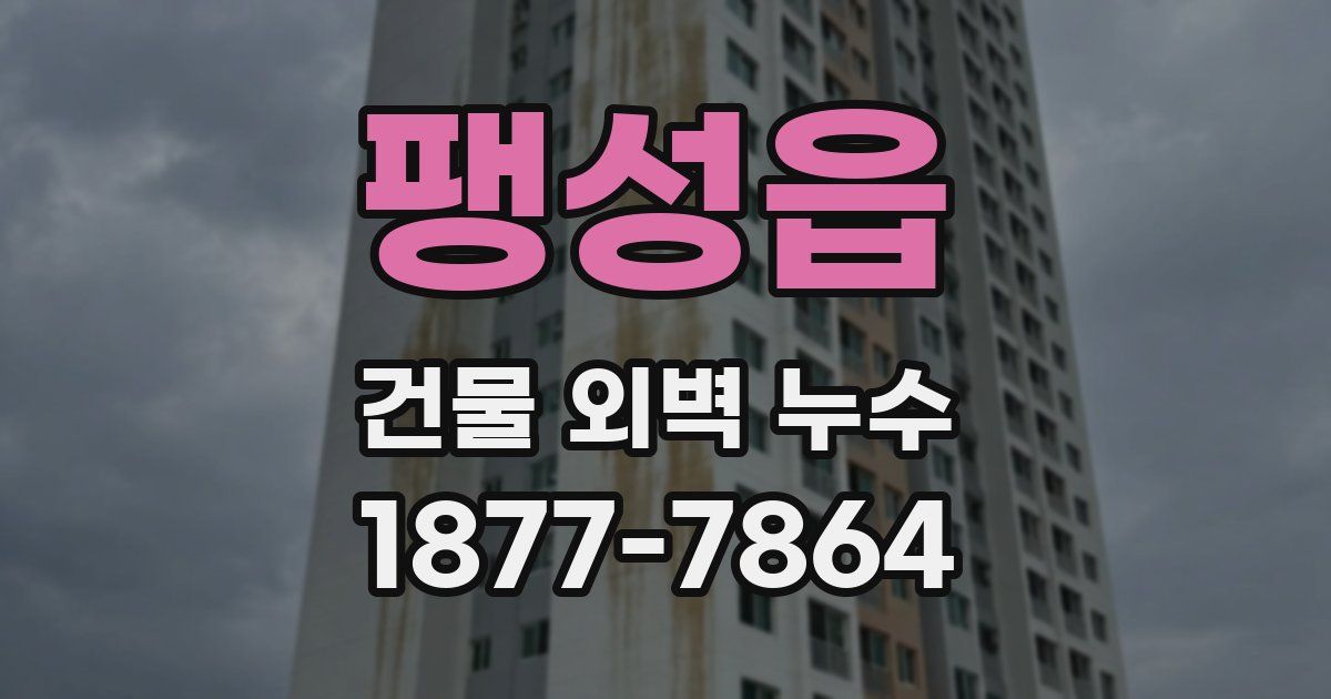 팽성읍 건물 외벽 누수
