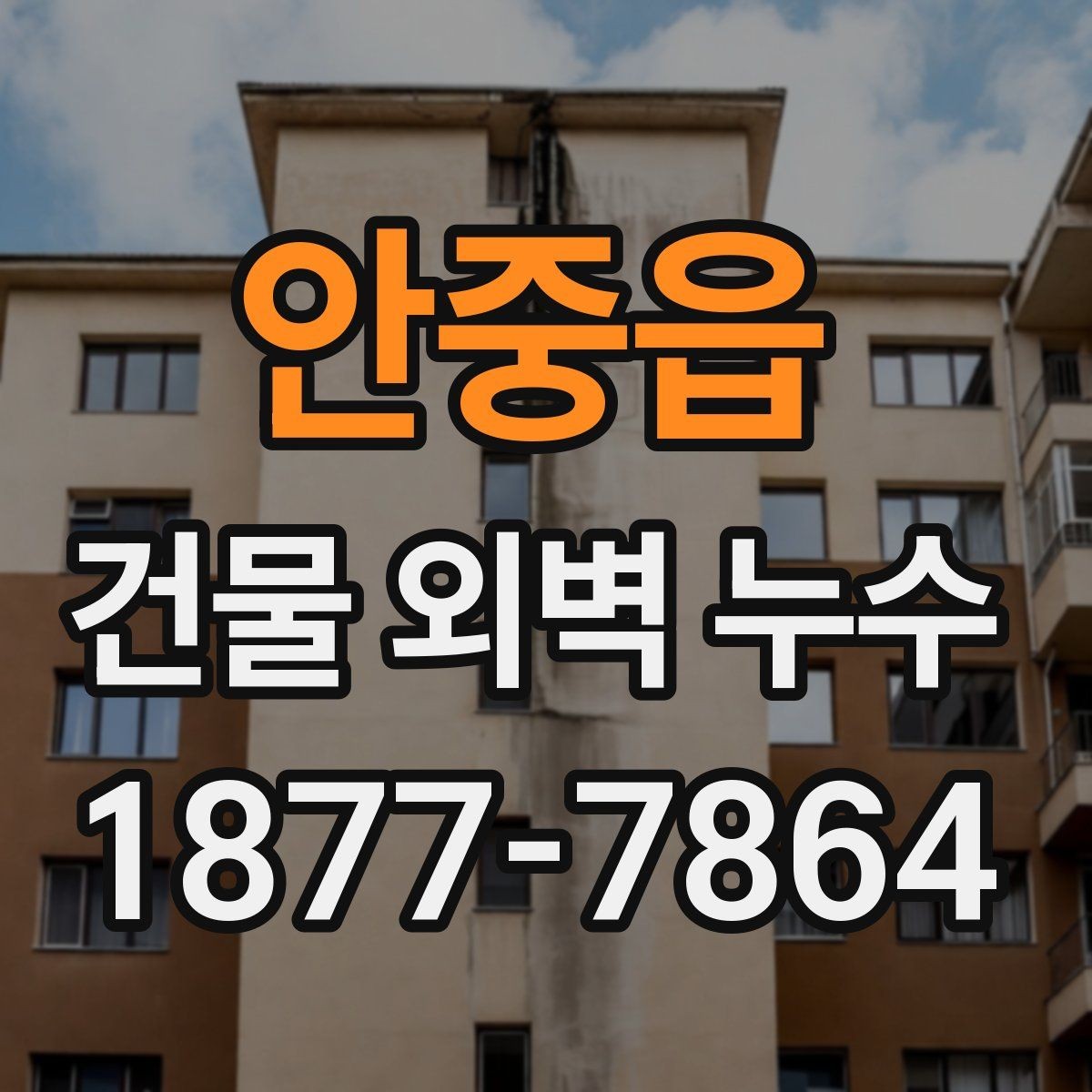 안중읍 건물 외벽 누수 점검 결과를 바탕으로 한 대응