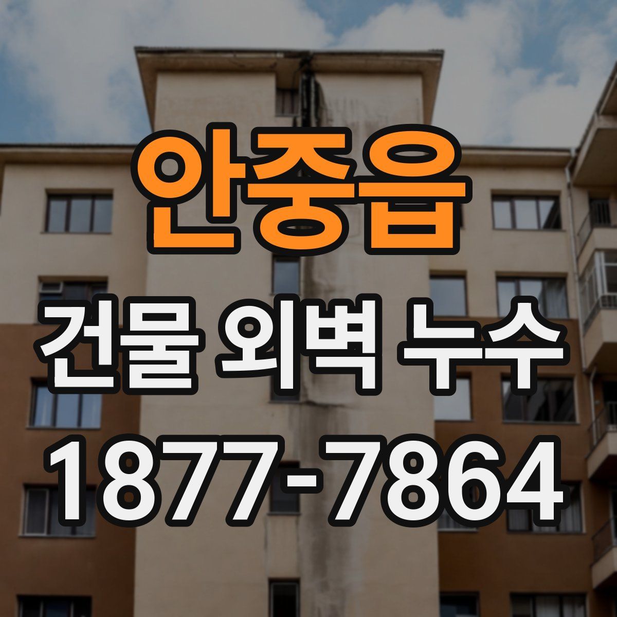 안중읍 건물 외벽 누수
