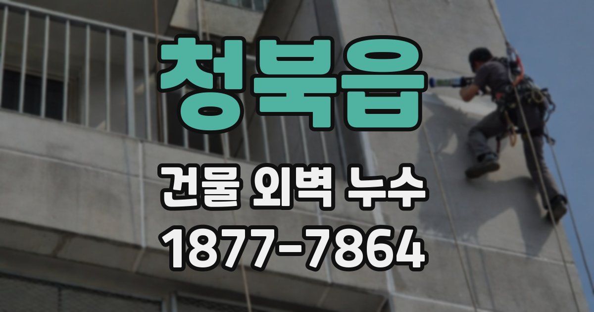 청북읍 건물 외벽 누수