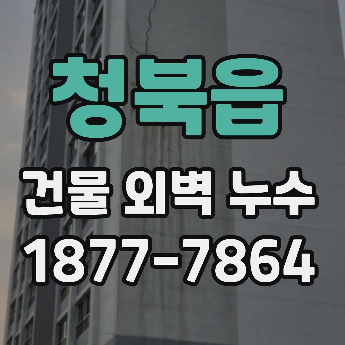 청북읍 건물 외벽 누수