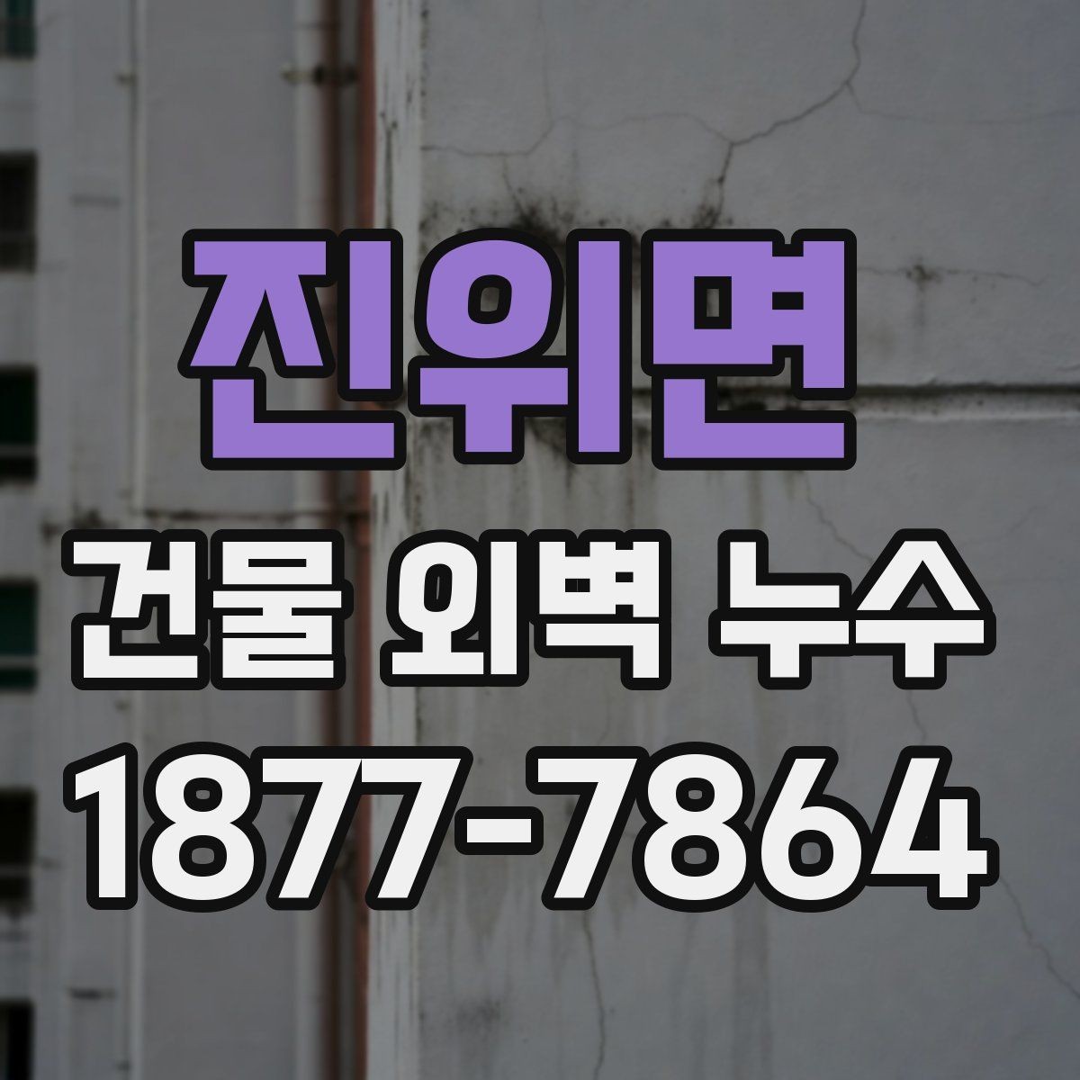 진위면 건물 외벽 누수 원인별 보수 방식 정리