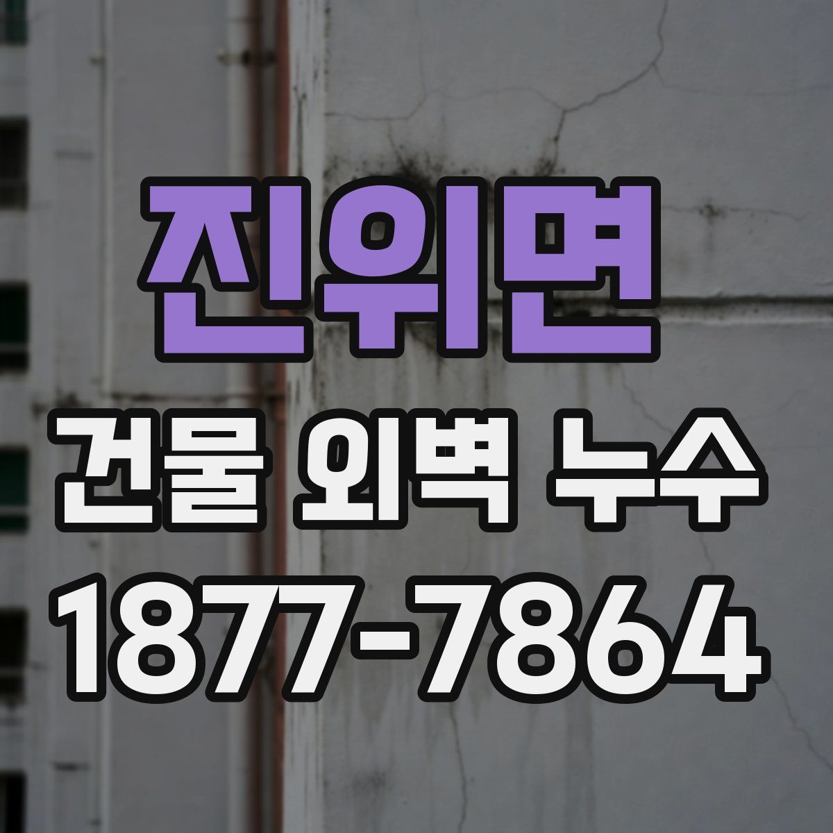 진위면 건물 외벽 누수