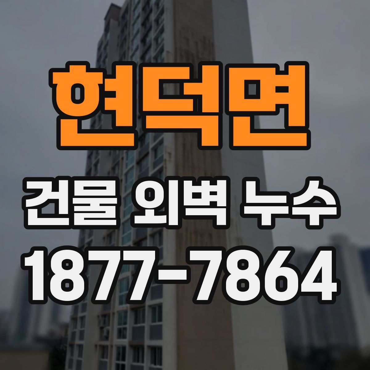 현덕면 건물 외벽 누수