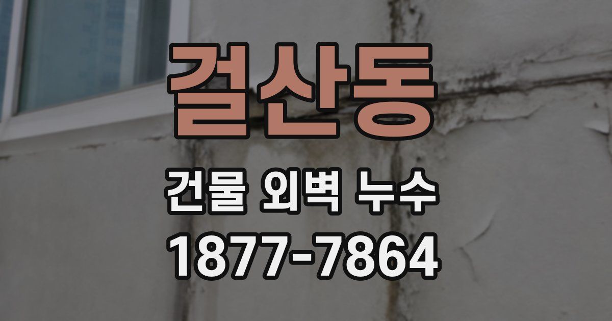 걸산동 건물 외벽 누수