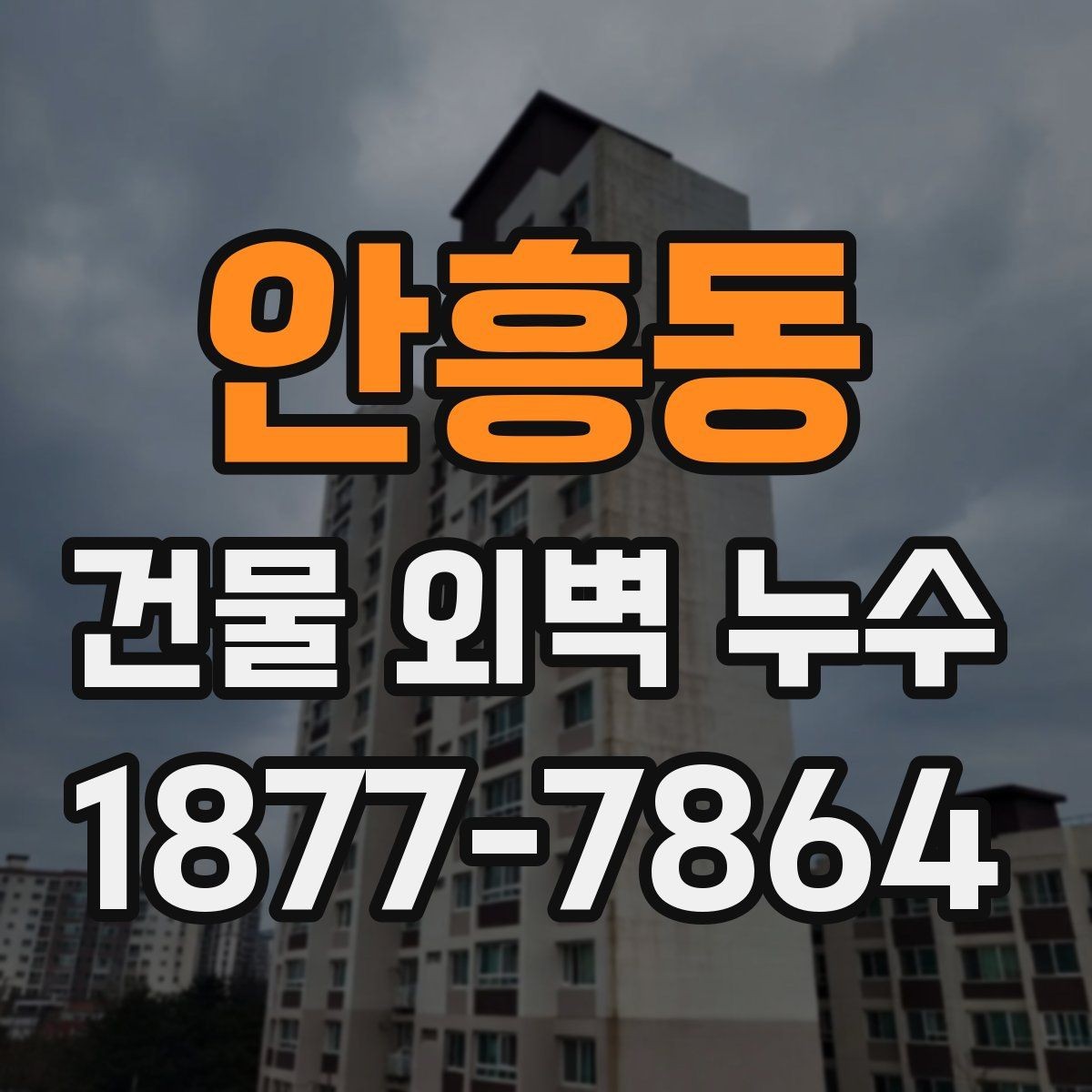 안흥동 건물 외벽 누수 문제를 줄이는 외벽 관리법
