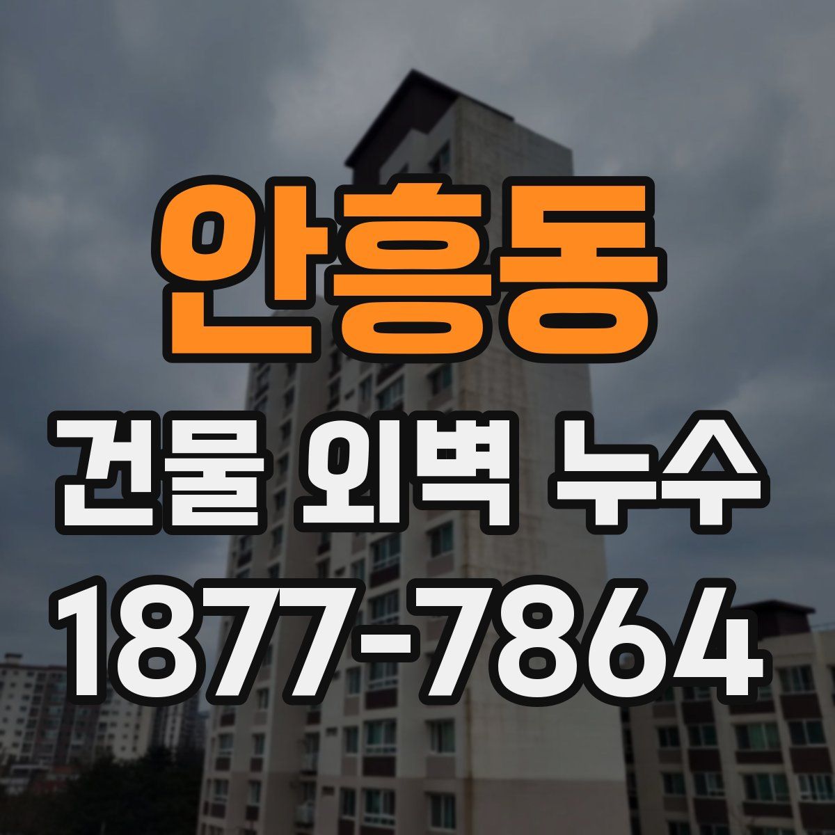 안흥동 건물 외벽 누수