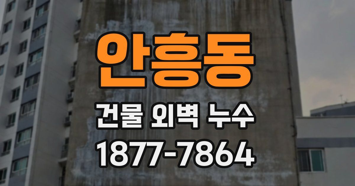 안흥동 건물 외벽 누수