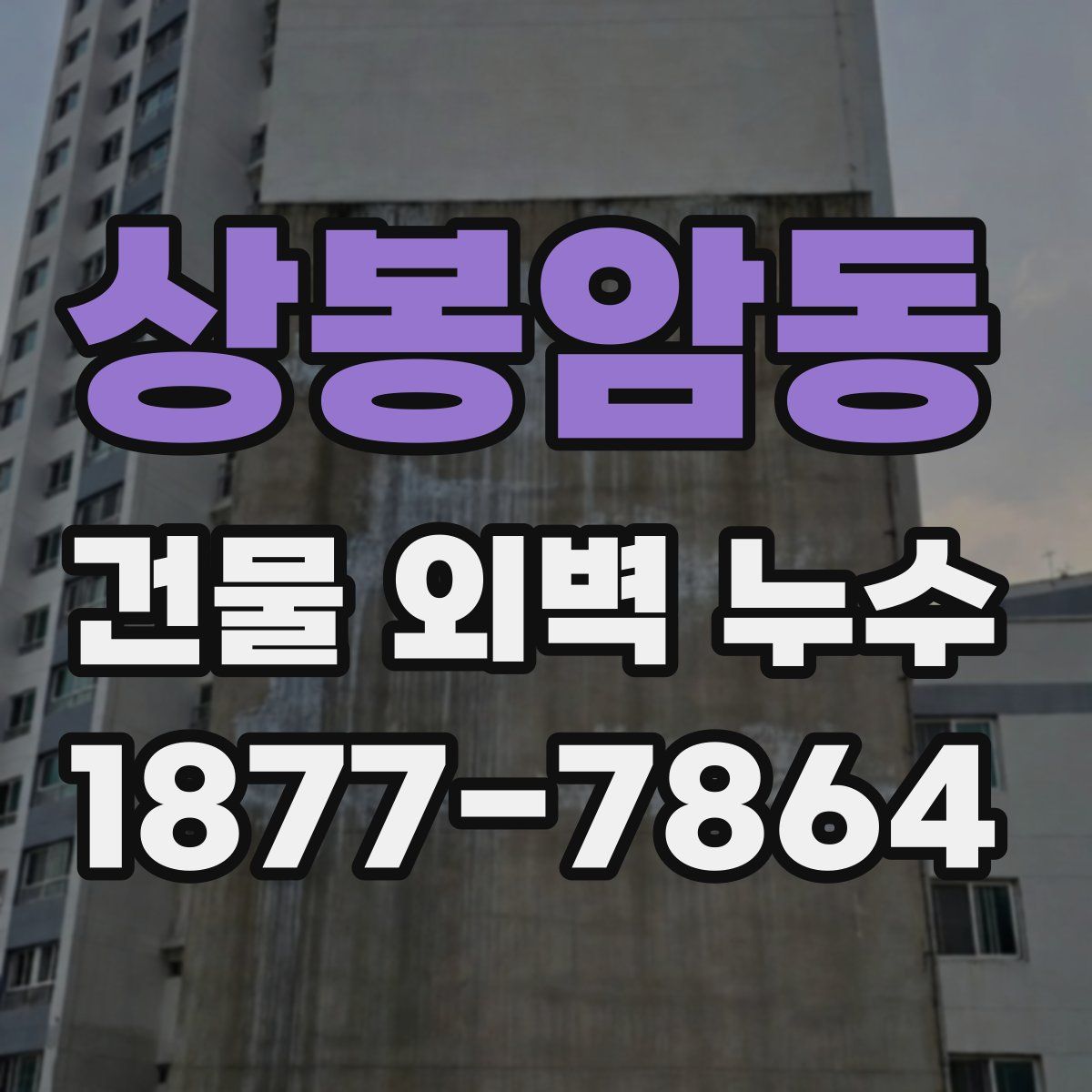 상봉암동 건물 외벽 누수