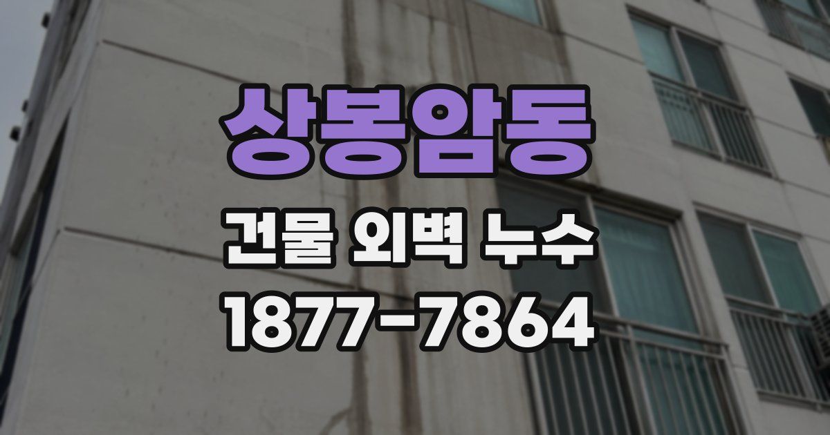 상봉암동 건물 외벽 누수