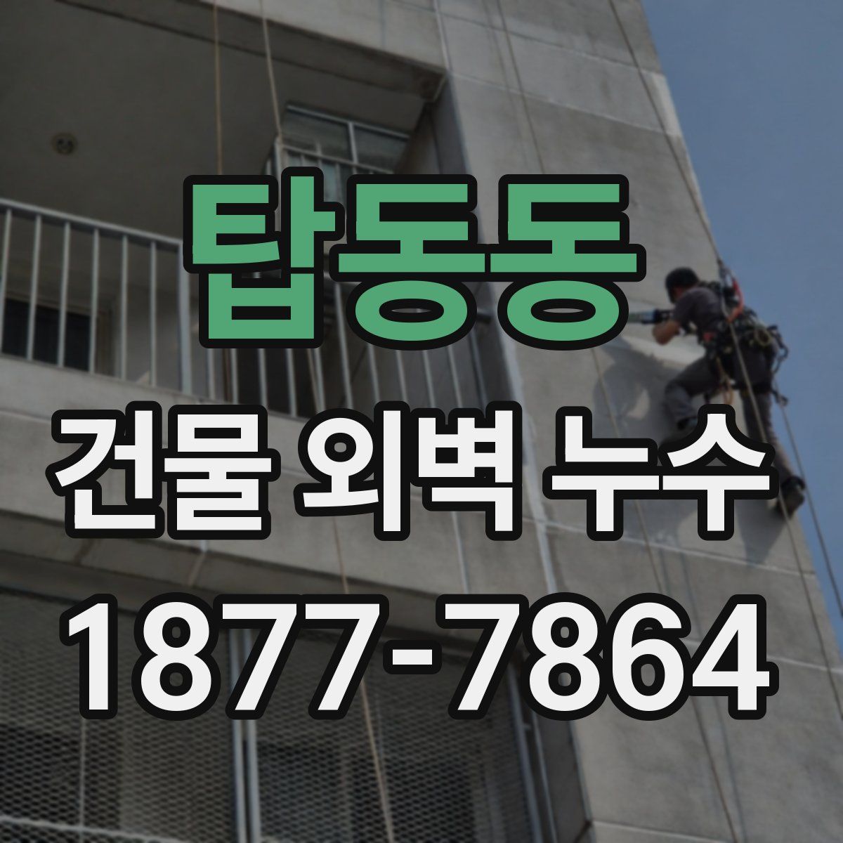 탑동동 건물 외벽 누수